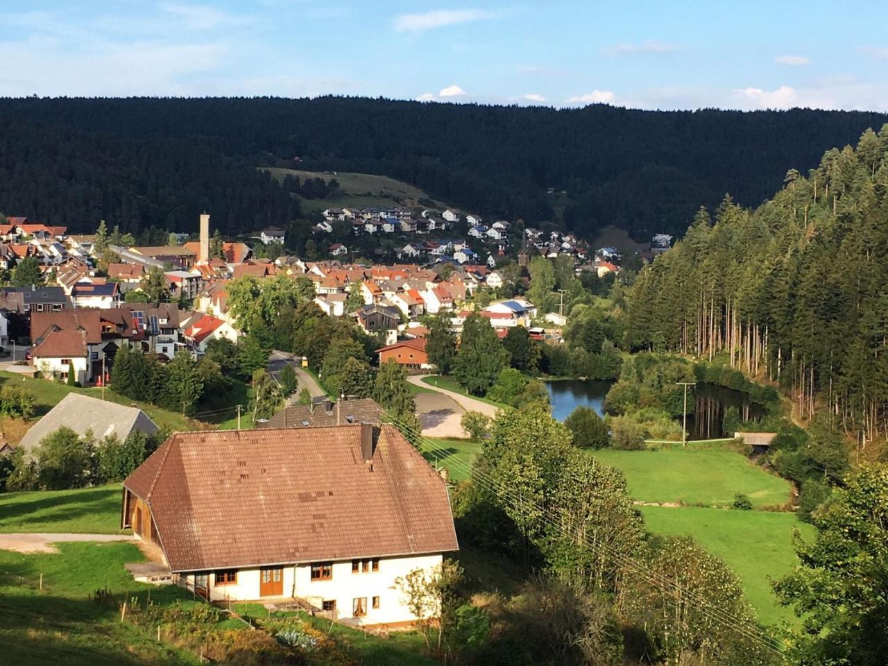 Schwarzwaldgasthaus Linde Schramberg Eksteriør bilde