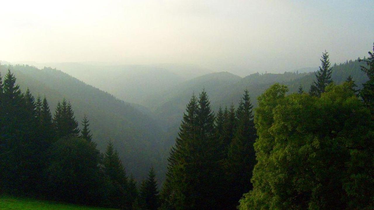 Schwarzwaldgasthaus Linde Schramberg Eksteriør bilde