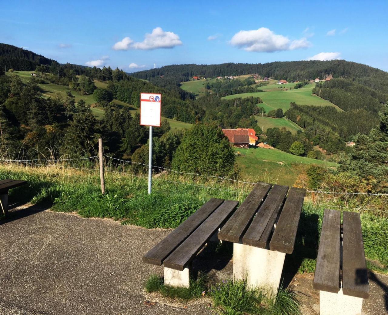 Schwarzwaldgasthaus Linde Schramberg Eksteriør bilde